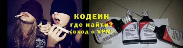 ГАЛЛЮЦИНОГЕННЫЕ ГРИБЫ Баксан