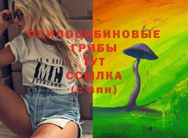 стаф Арсеньев