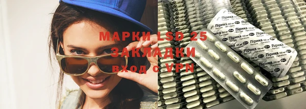 ГАЛЛЮЦИНОГЕННЫЕ ГРИБЫ Баксан