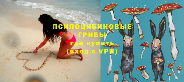 ГАЛЛЮЦИНОГЕННЫЕ ГРИБЫ Баксан