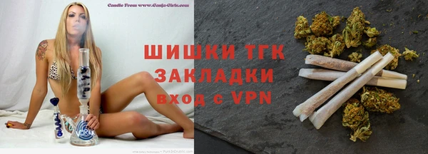 гашик Гатчина