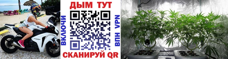 ОМГ ОМГ вход  Кубинка  Каннабис THC 21% 